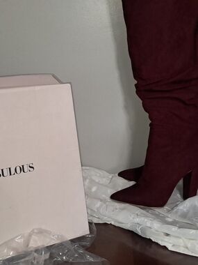 Phelan Burgundy Over-the-Knee Pointed Toe Block Heel Boots